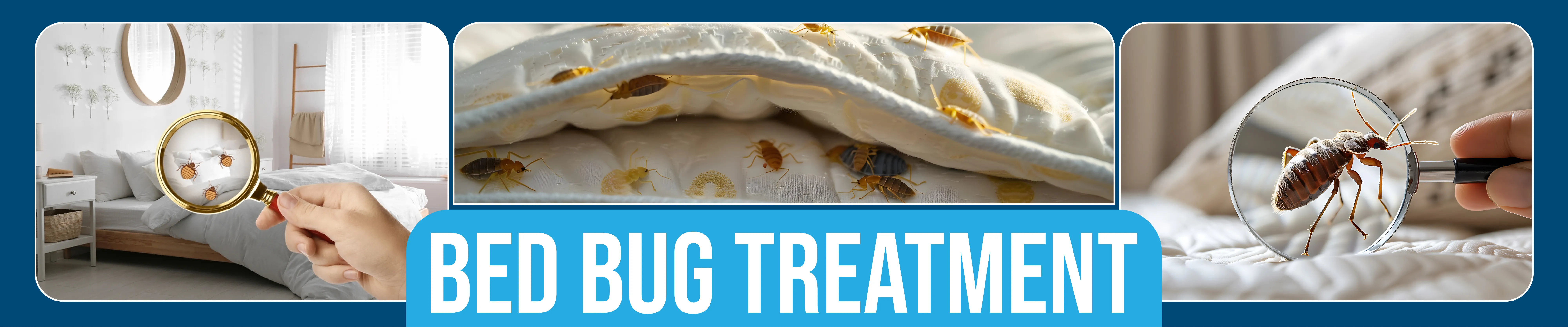 carpet cleaning in the Bronx, carpet cleaning in the Bronx, carpet cleaning the Bronx, carpet cleaners in the Bronx, carpet cleaners in the Bronx, commercial carpet cleaning, commercial carpet cleaning in the Bronx, the Bronx rug cleaners, rug cleaning services in the Bronx, same day carpet cleaning, same day rug cleaning