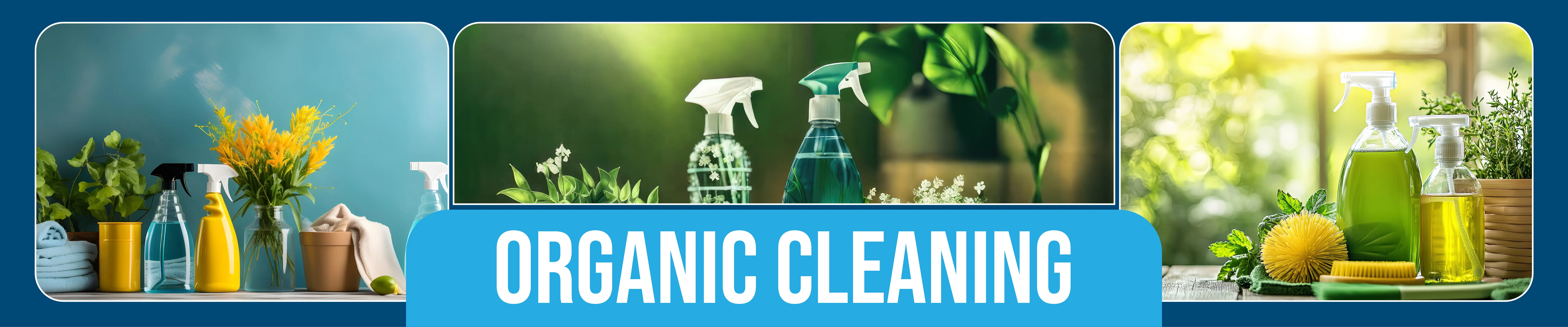 carpet cleaning in the Bronx, carpet cleaning in the Bronx, carpet cleaning the Bronx, carpet cleaners in the Bronx, carpet cleaners in the Bronx, commercial carpet cleaning, commercial carpet cleaning in the Bronx, the Bronx rug cleaners, rug cleaning services in the Bronx, same day carpet cleaning, same day rug cleaning