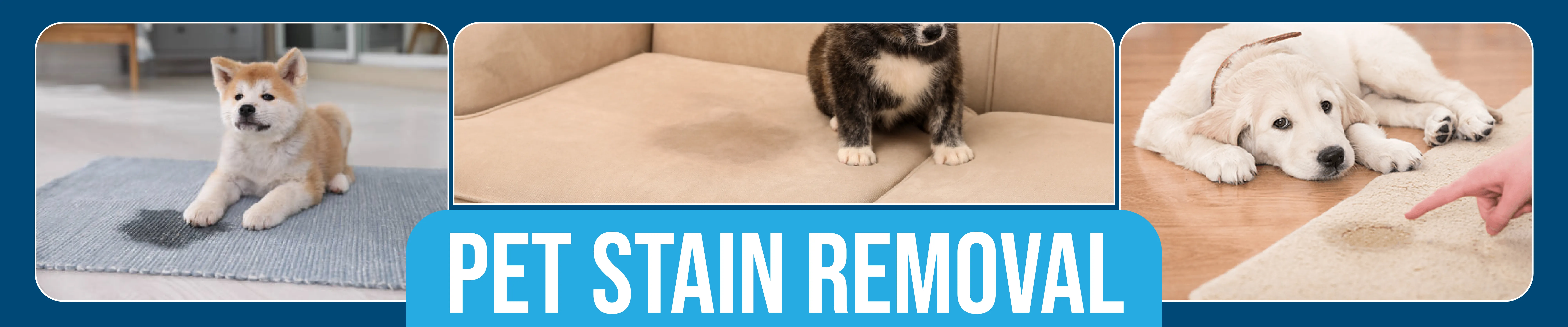 carpet cleaning in the Bronx, carpet cleaning in the Bronx, carpet cleaning the Bronx, carpet cleaners in the Bronx, carpet cleaners in the Bronx, commercial carpet cleaning, commercial carpet cleaning in the Bronx, the Bronx rug cleaners, rug cleaning services in the Bronx, same day carpet cleaning, same day rug cleaning