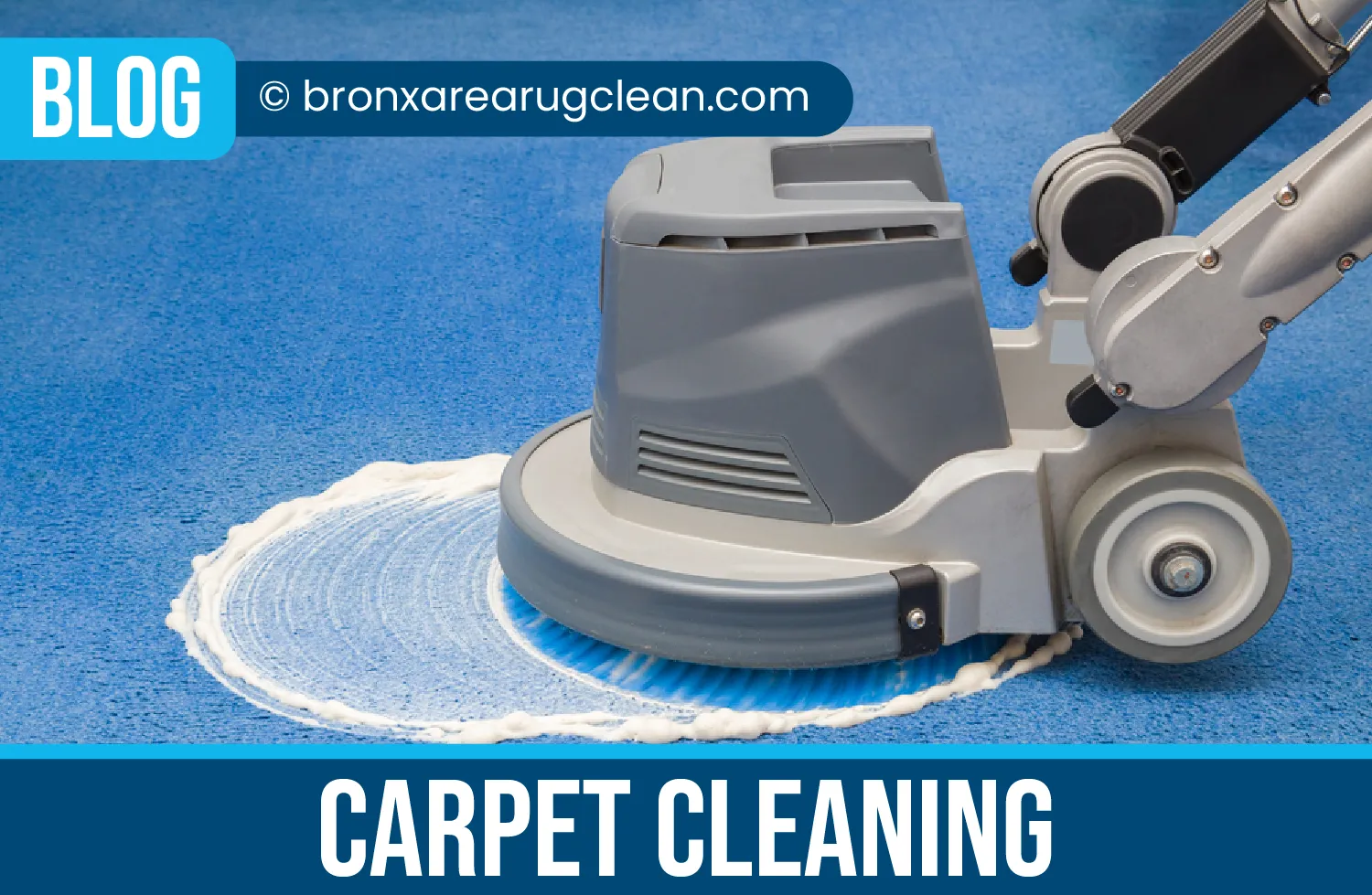 carpet cleaning in the Bronx, carpet cleaning in the Bronx, carpet cleaning the Bronx, carpet cleaners in the Bronx, carpet cleaners in the Bronx, commercial carpet cleaning, commercial carpet cleaning in the Bronx, the Bronx rug cleaners, rug cleaning services in the Bronx, same day carpet cleaning, same day rug cleaning