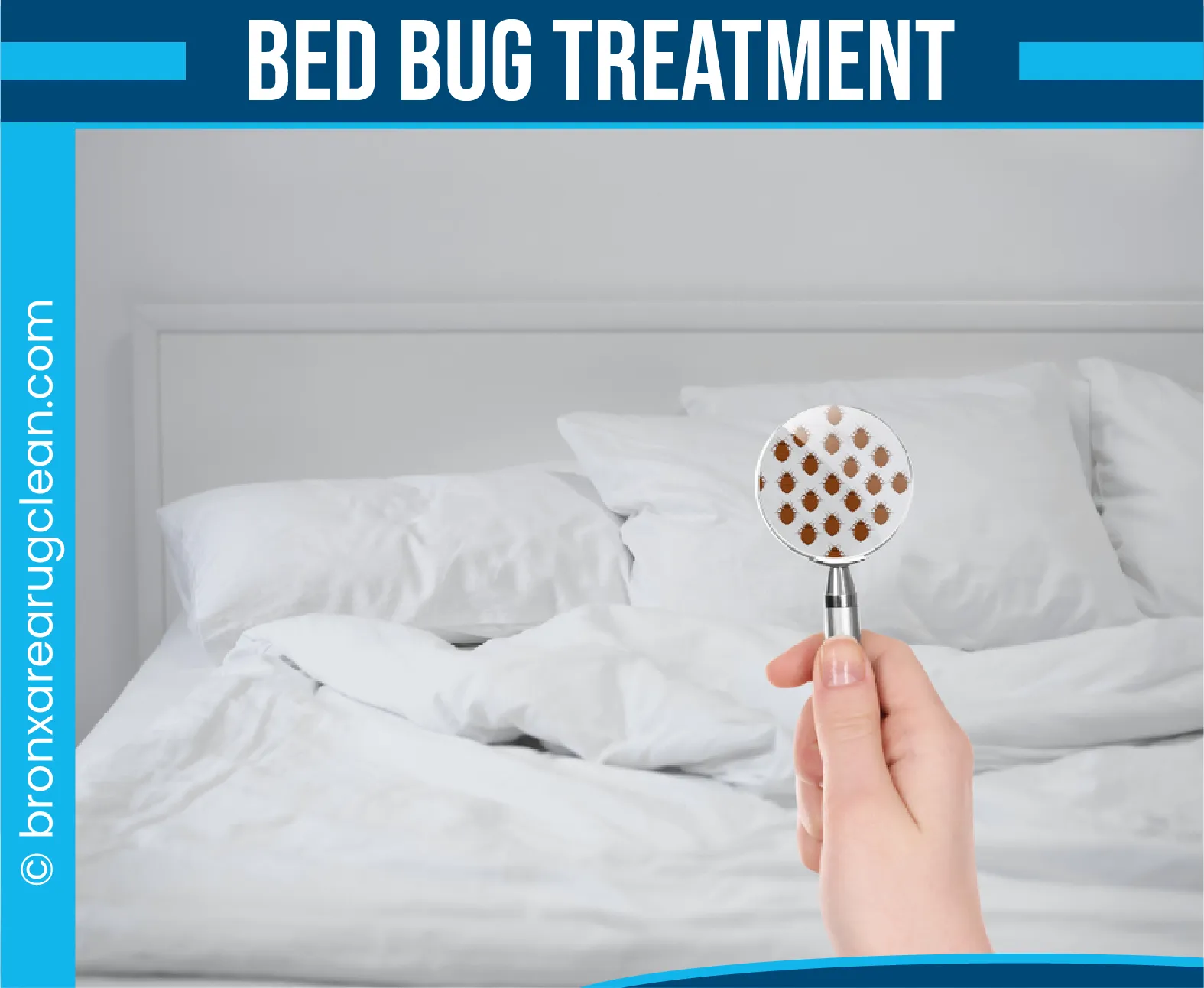 carpet cleaning in the Bronx, carpet cleaning in the Bronx, carpet cleaning the Bronx, carpet cleaners in the Bronx, carpet cleaners in the Bronx, commercial carpet cleaning, commercial carpet cleaning in the Bronx, the Bronx rug cleaners, rug cleaning services in the Bronx, same day carpet cleaning, same day rug cleaning