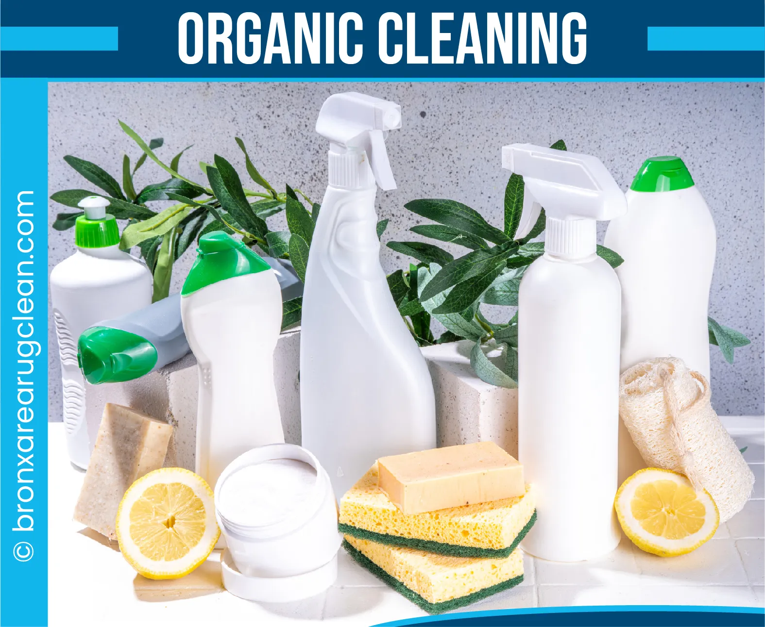 carpet cleaning in the Bronx, carpet cleaning in the Bronx, carpet cleaning the Bronx, carpet cleaners in the Bronx, carpet cleaners in the Bronx, commercial carpet cleaning, commercial carpet cleaning in the Bronx, the Bronx rug cleaners, rug cleaning services in the Bronx, same day carpet cleaning, same day rug cleaning